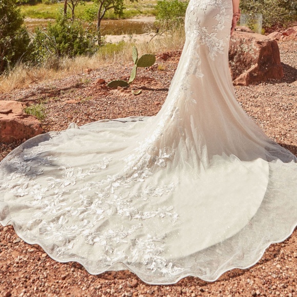 Ashley & Justin Bridal- Fit and Flare Bridal Gown with colored undertone - Picture 4 of 5